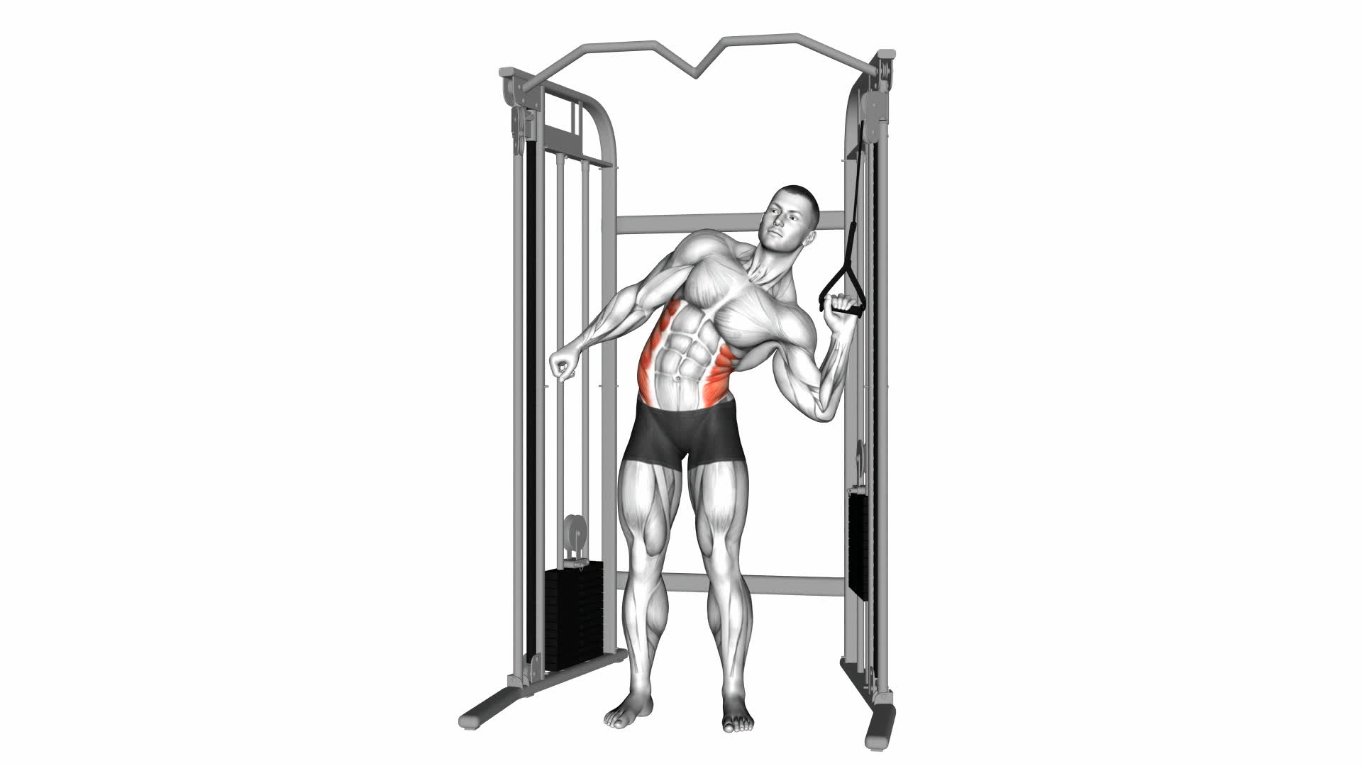 Cable Standing Serratus Crunch Obliques Exercise Guide Tips