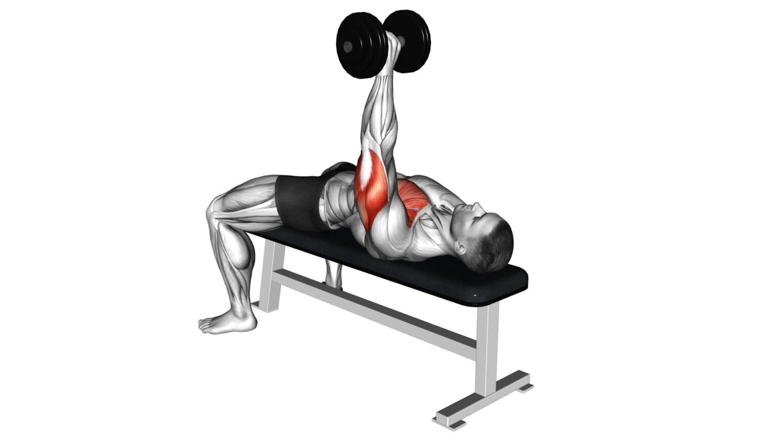 Barbell Wide Bench Press Ultimate Video Guide Tips