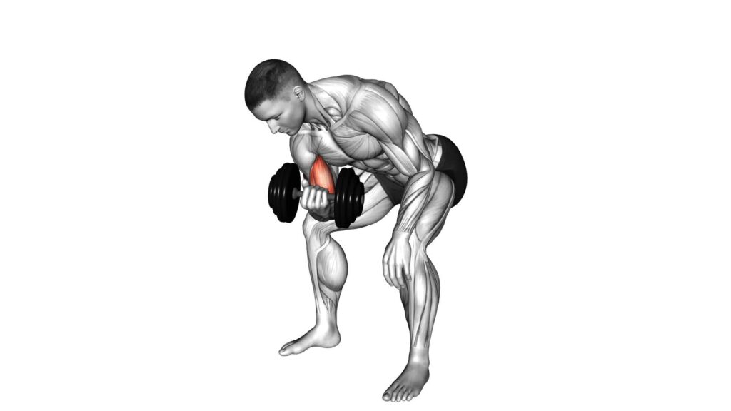 Dumbbell Standing One Arm Concentration Curl Video Exercise Guide