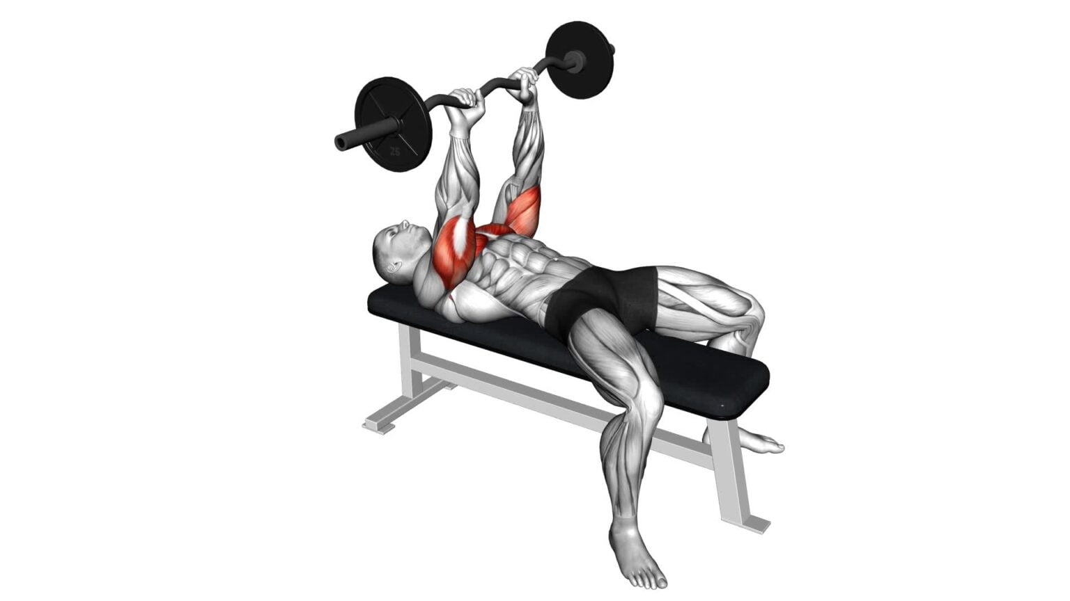 Master The EZ Bar Close Grip Bench Press Video Guide Pro Tips