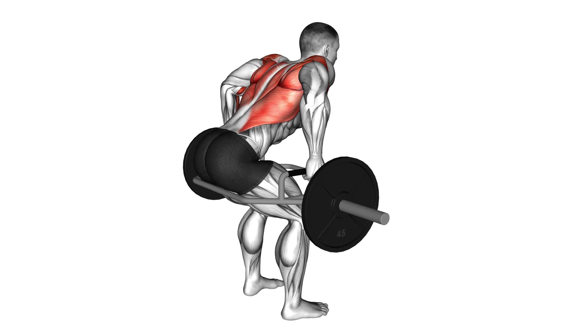 Trap Bar Bent Over Row Male Video Guide Tips