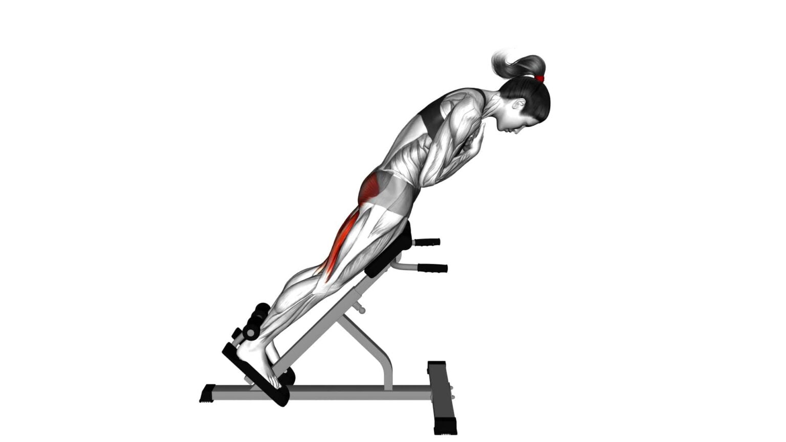 45° Hip Extension GluteFocused Exercise Guide & Tips (Female) Video