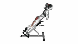 45 Degree Hyperextension (Arms in Front of Chest) - Video Exercise Guide & Tips