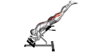 45 Degrees Reverse Hyperextension - Video Exercise Guide & Tips