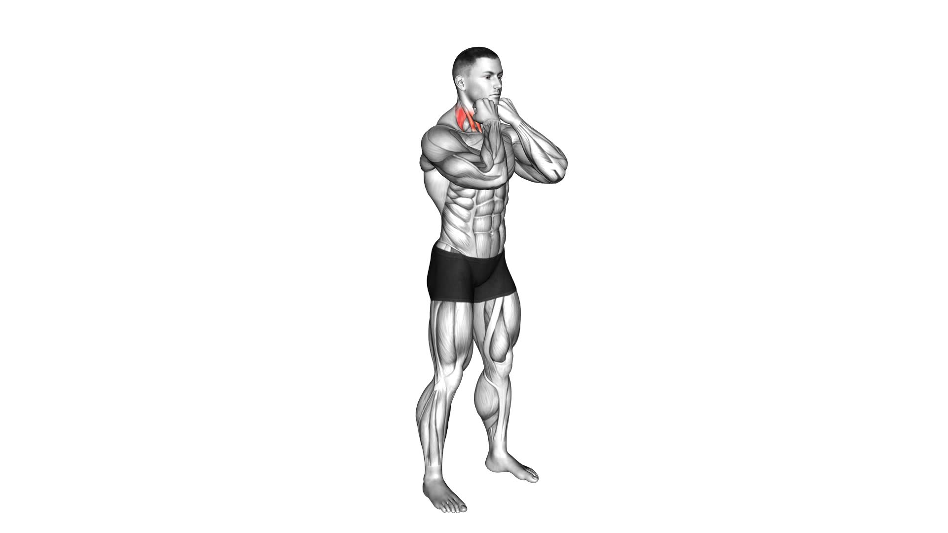 5 Sec Fist Against Chin (male) - Video Exercise Guide & Tips