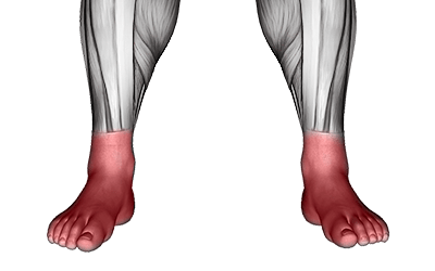Feet muscles 3
