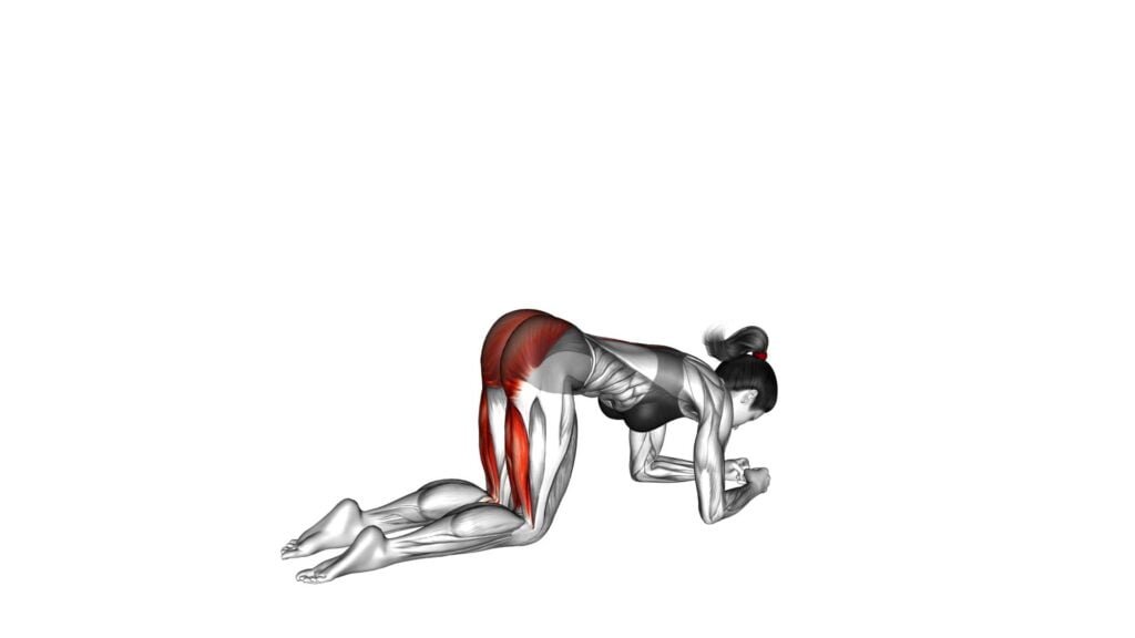 Female Donkey Kick Ultimate Exercise Guide Tips Video 