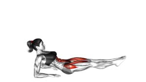 Alternate Leg Raise From Reverse Plank Position (Female) - Video Exercise Guide & Tips