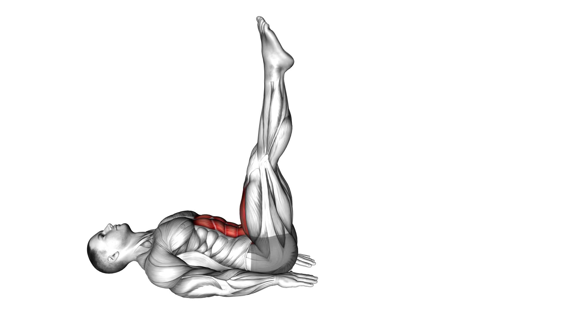 Alternate Leg Raise (male) - Video Exercise Guide & Tips