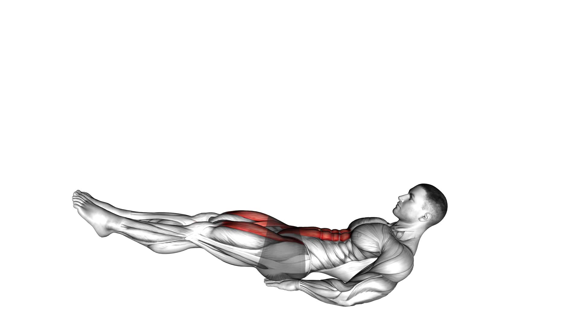 Alternate Leg Raise With Head-Up - Video Exercise Guide & Tips