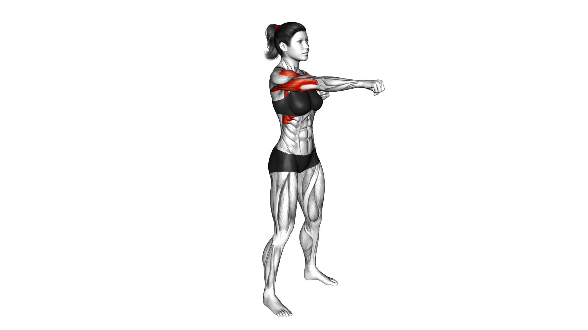 Alternate Punching (female) - Video Exercise Guide & Tips