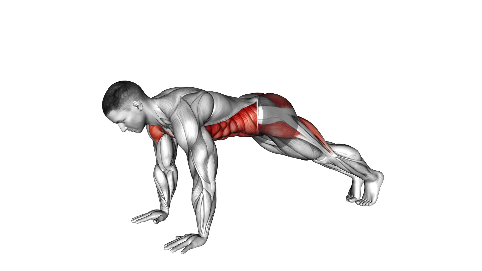 Alternate Single Leg Raise Plank - Video Exercise Guide & Tips