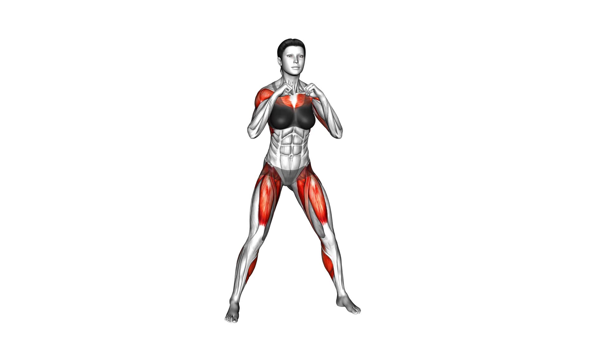 Alternating Hamstring Curl With Punche (Female) - Video Exercise Guide & Tips