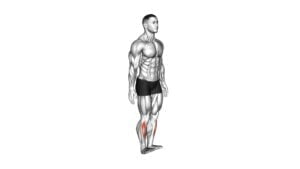 Ankle - Dorsal Flexion - Video Exercise Guide & Tips