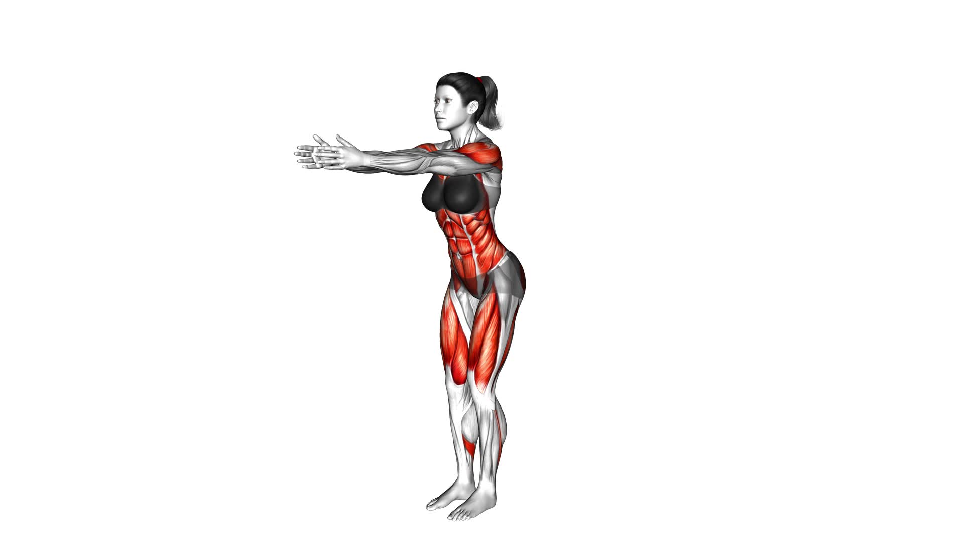 Archer Stepback (female) - Video Exercise Guide & Tips