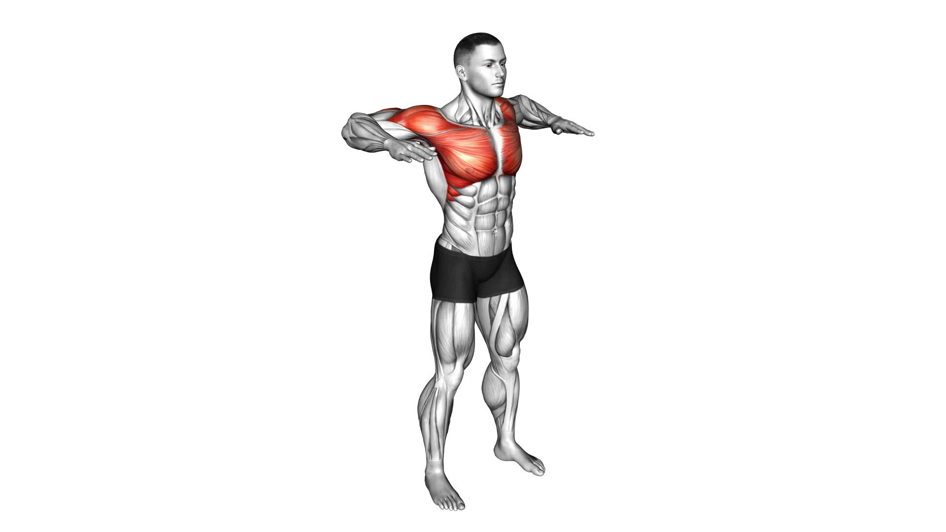 Arm Crossover Chest Out (Male) - Video Guide & Tips For Effective Exercise