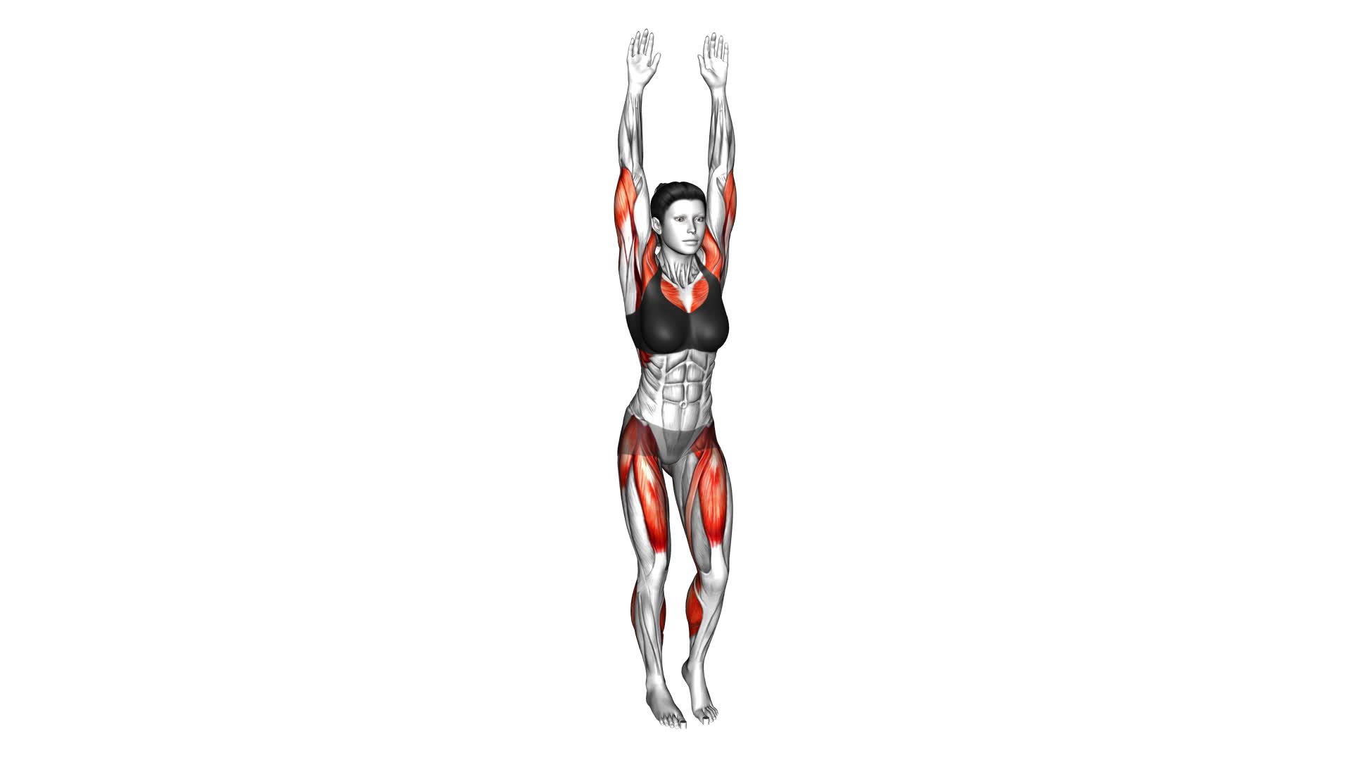 Arm Raise Step in Place (female) - Video Exercise Guide & Tips