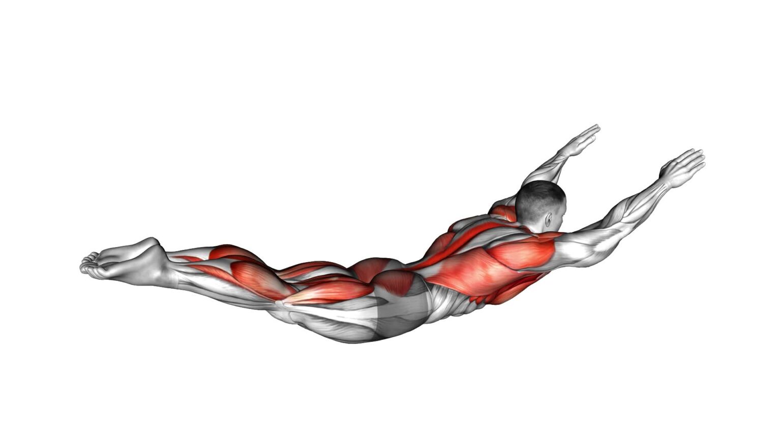 Superman Hold: Ultimate Video Exercise Guide & Tips