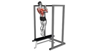 Assisted Chin-Up on a Bench (Male) - Video Exercise Guide & Tips