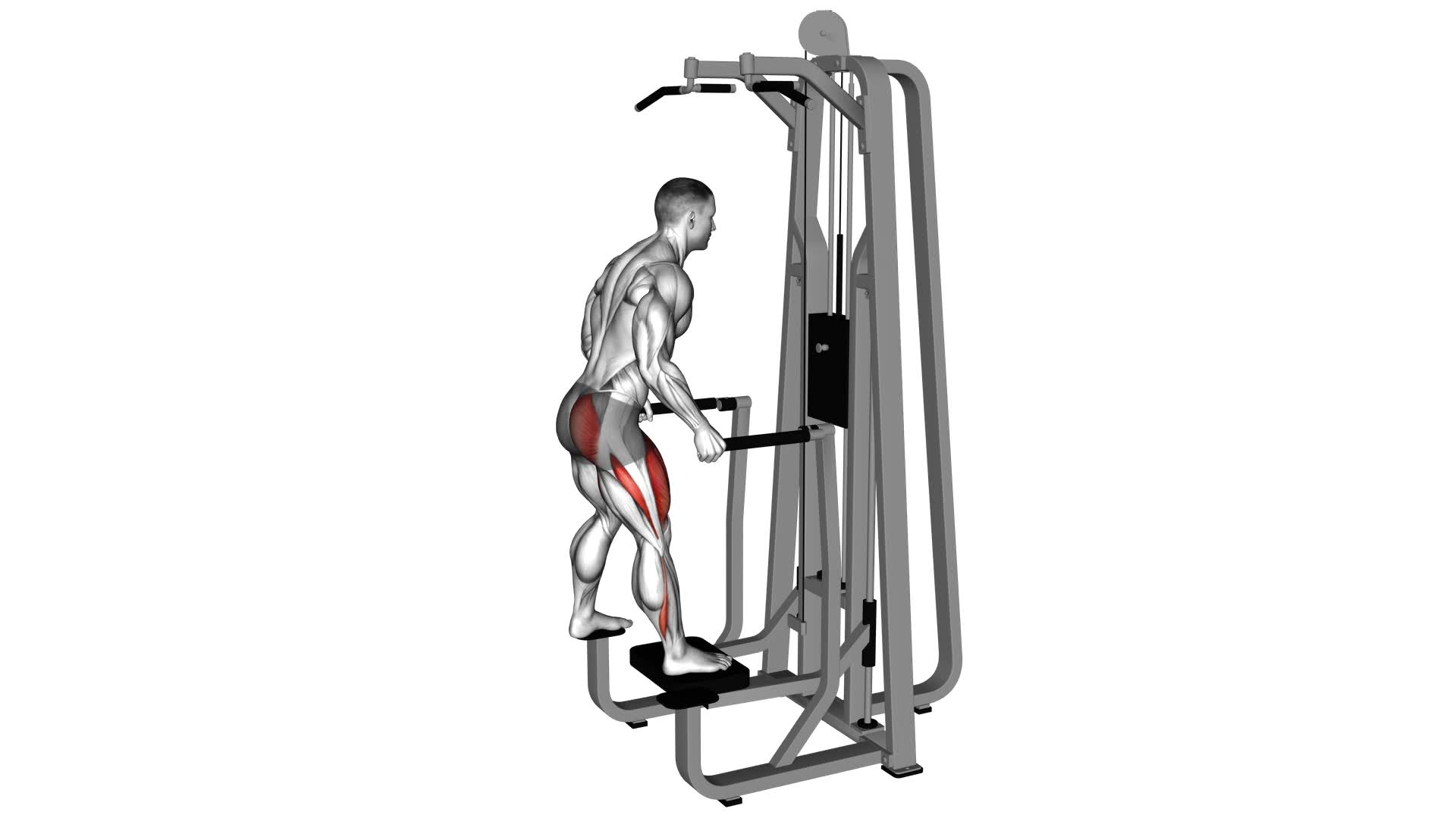 Assisted Single Leg Press - Video Exercise Guide & Tips