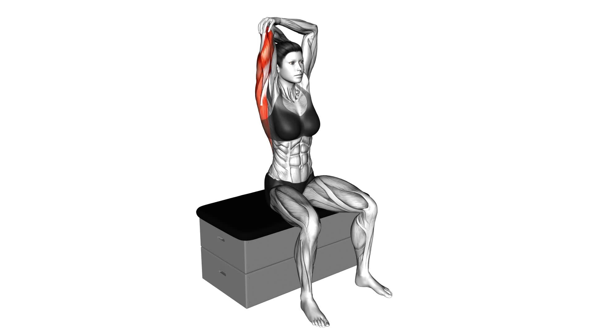 Back and Shoulders Stretch (female) - Video Exercise Guide & Tips