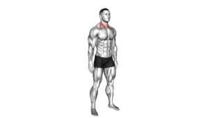 Backward Forward Turn to Side Neck Stretch - Video Exercise Guide & Tips