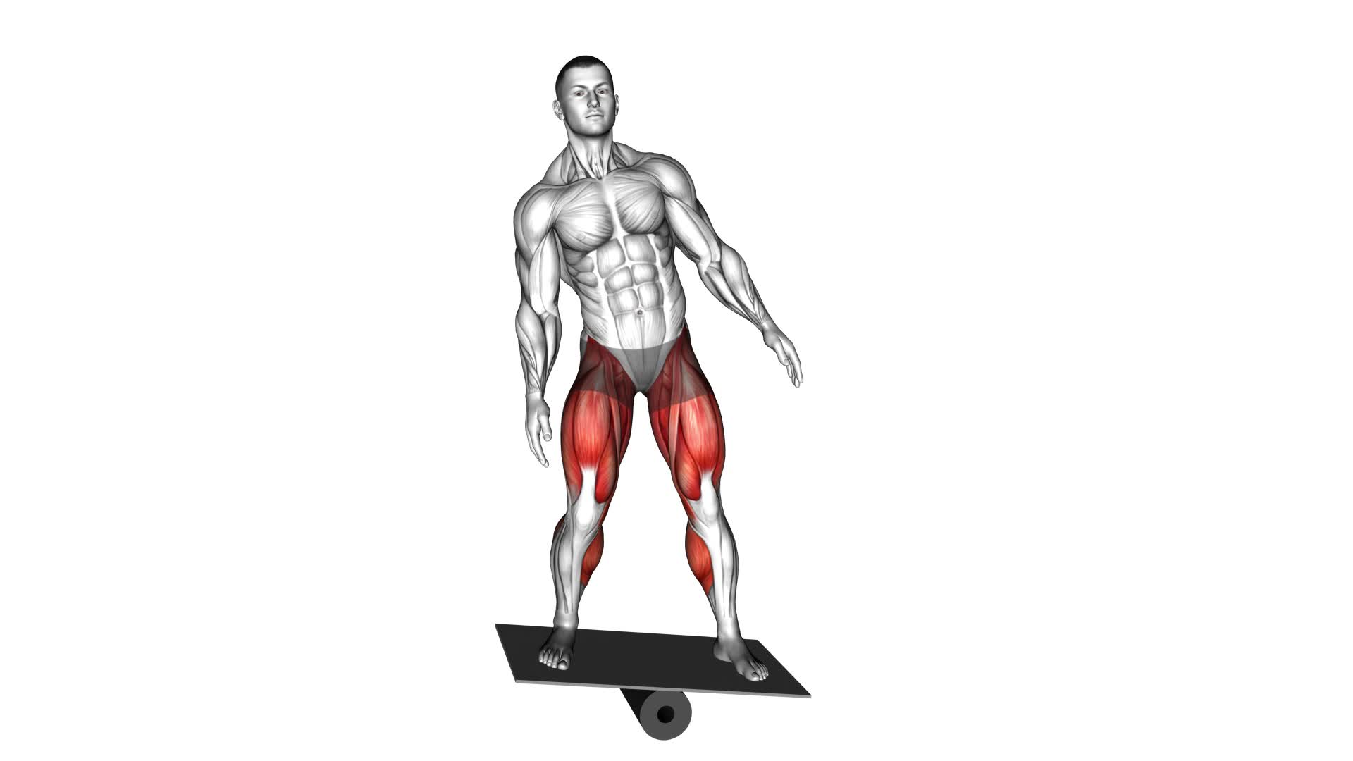 Balance Board (VERSION 2) - Video Exercise Guide & Tips