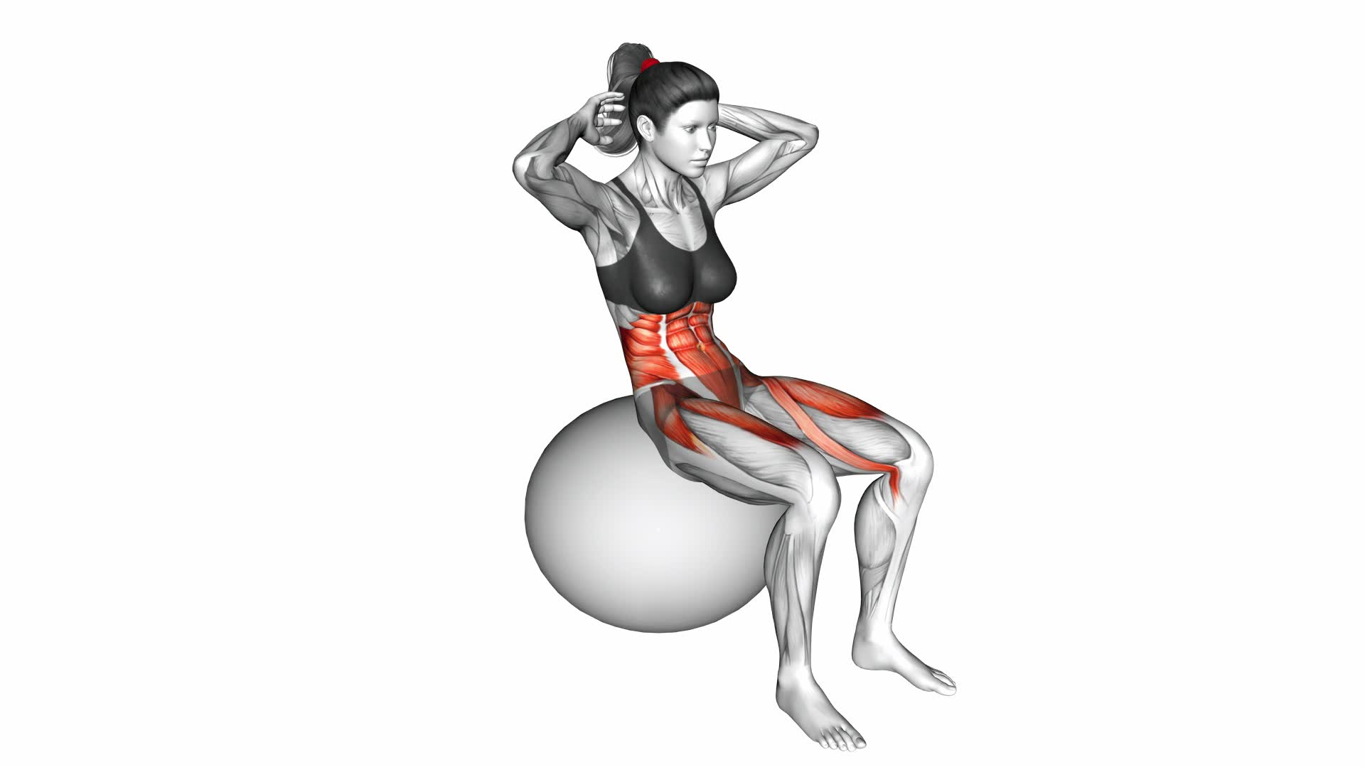 Ball Sit-up (on stability ball) - Video Exercise Guide & Tips