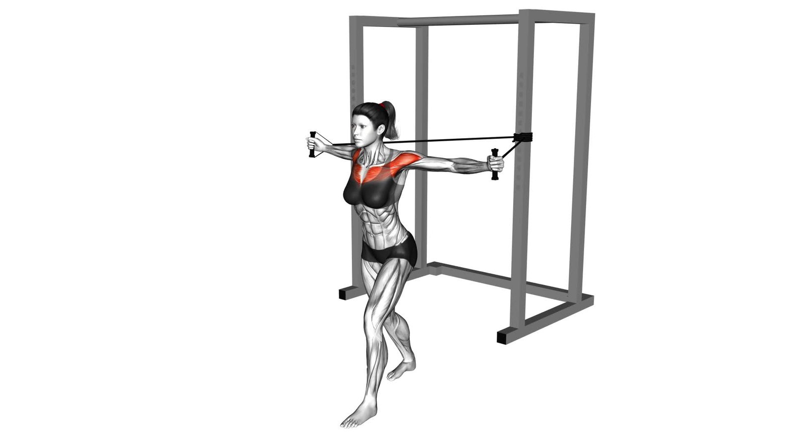 Band Alternate Low Chest Fly (female) - Video Exercise Guide & Tips