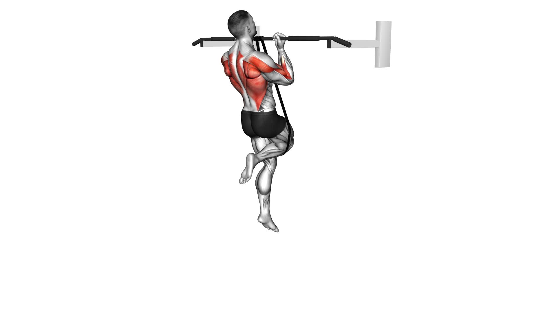 Band Assisted Chin Up (From Knee) - Video Exercise Guide & Tips