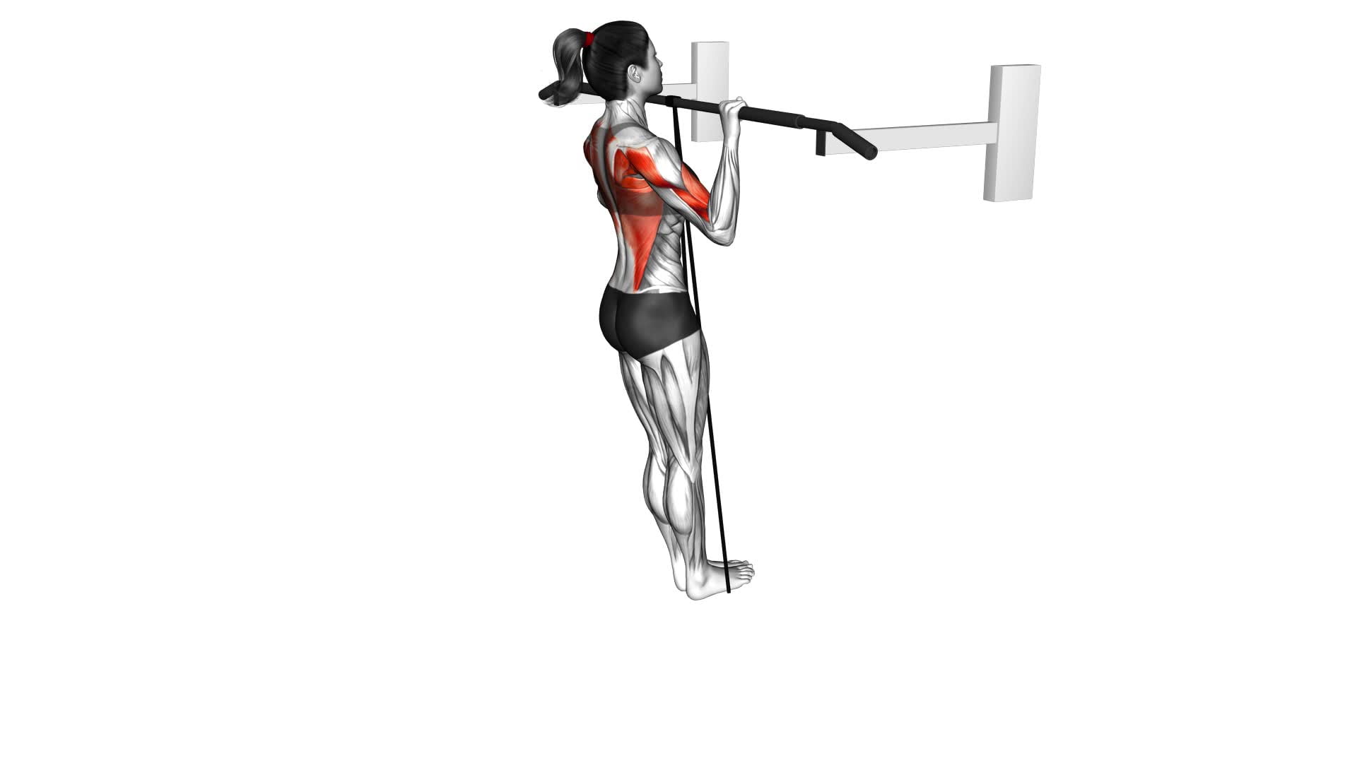 Band Assisted Pull-Up (VERSION 3) (female) - Video Exercise Guide & Tips
