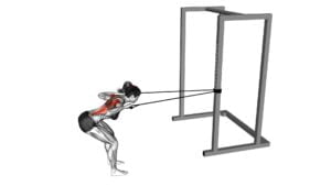 Band Bent Over Lat Pulldown (female) - Video Exercise Guide & Tips