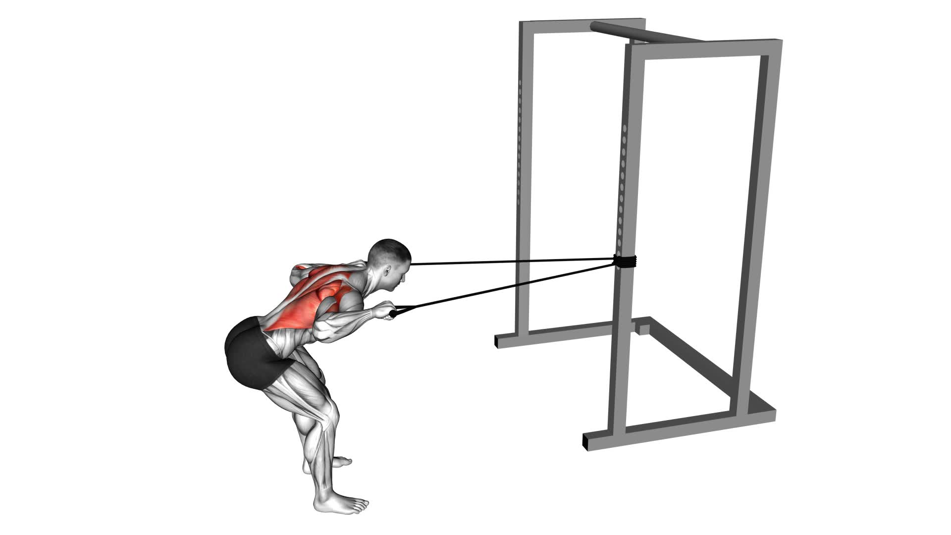 Band Bent Over Lat Pulldown - Video Exercise Guide & Tips