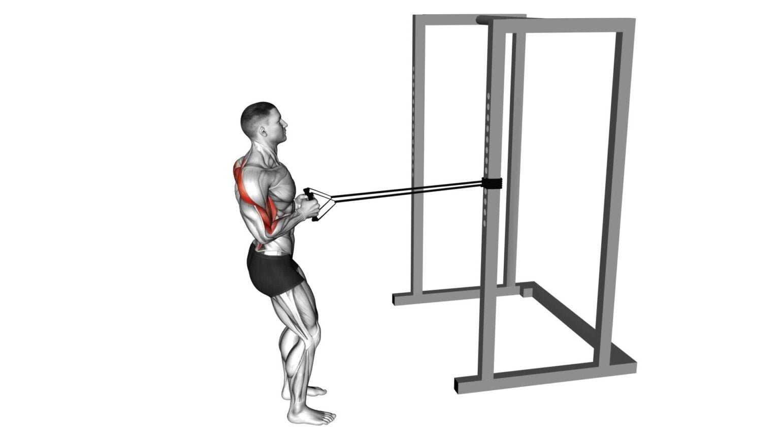 Cable Close Grip Row: Ultimate Exercise Guide & Tips