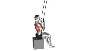 Band Fixed Back Underhand Pulldown - Video Exercise Guide & Tips