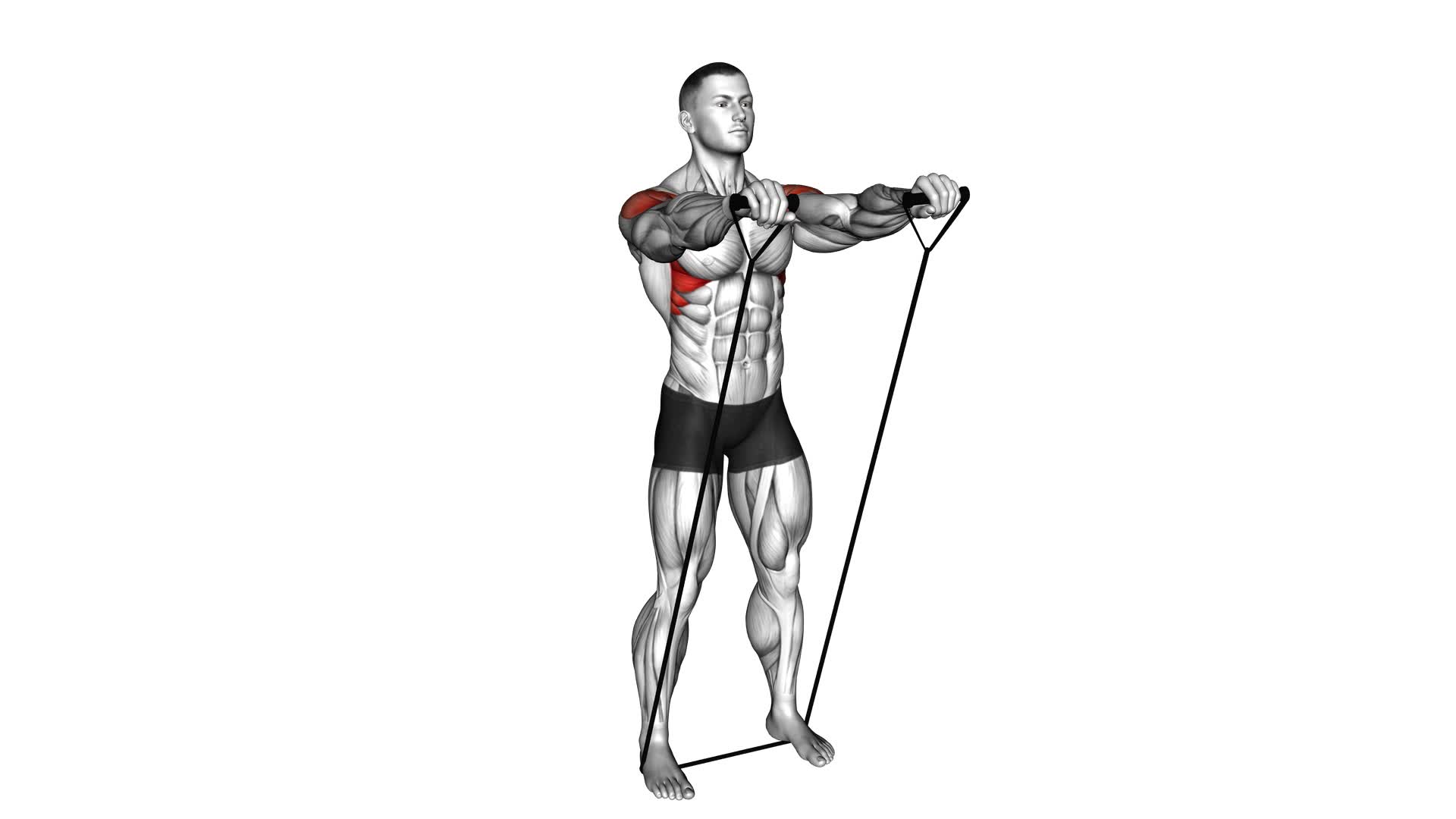 Band Front Raise - Video Exercise Guide & Tips