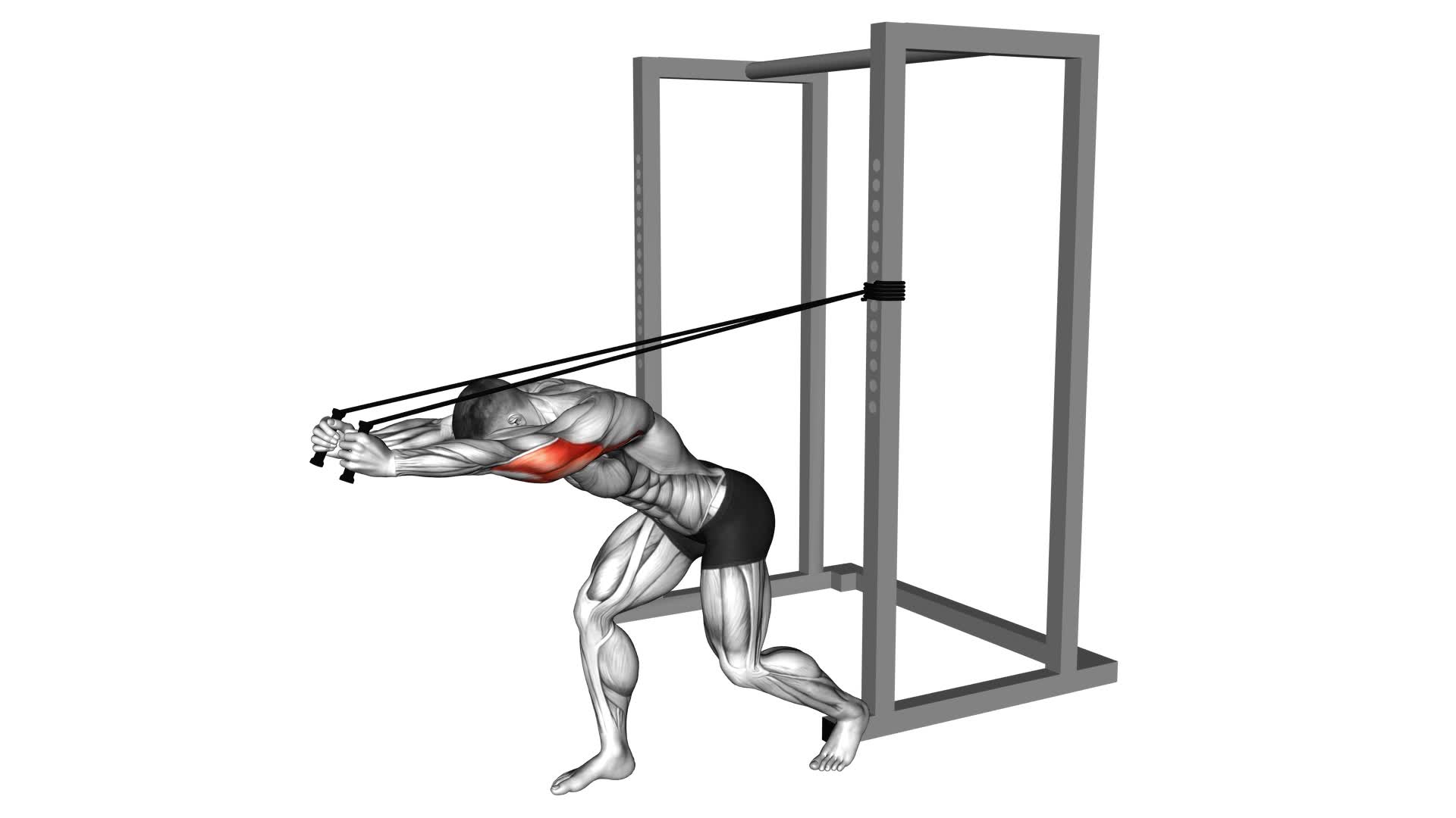 Band High Pulley Overhead Triceps Extension - Video Exercise Guide & Tips