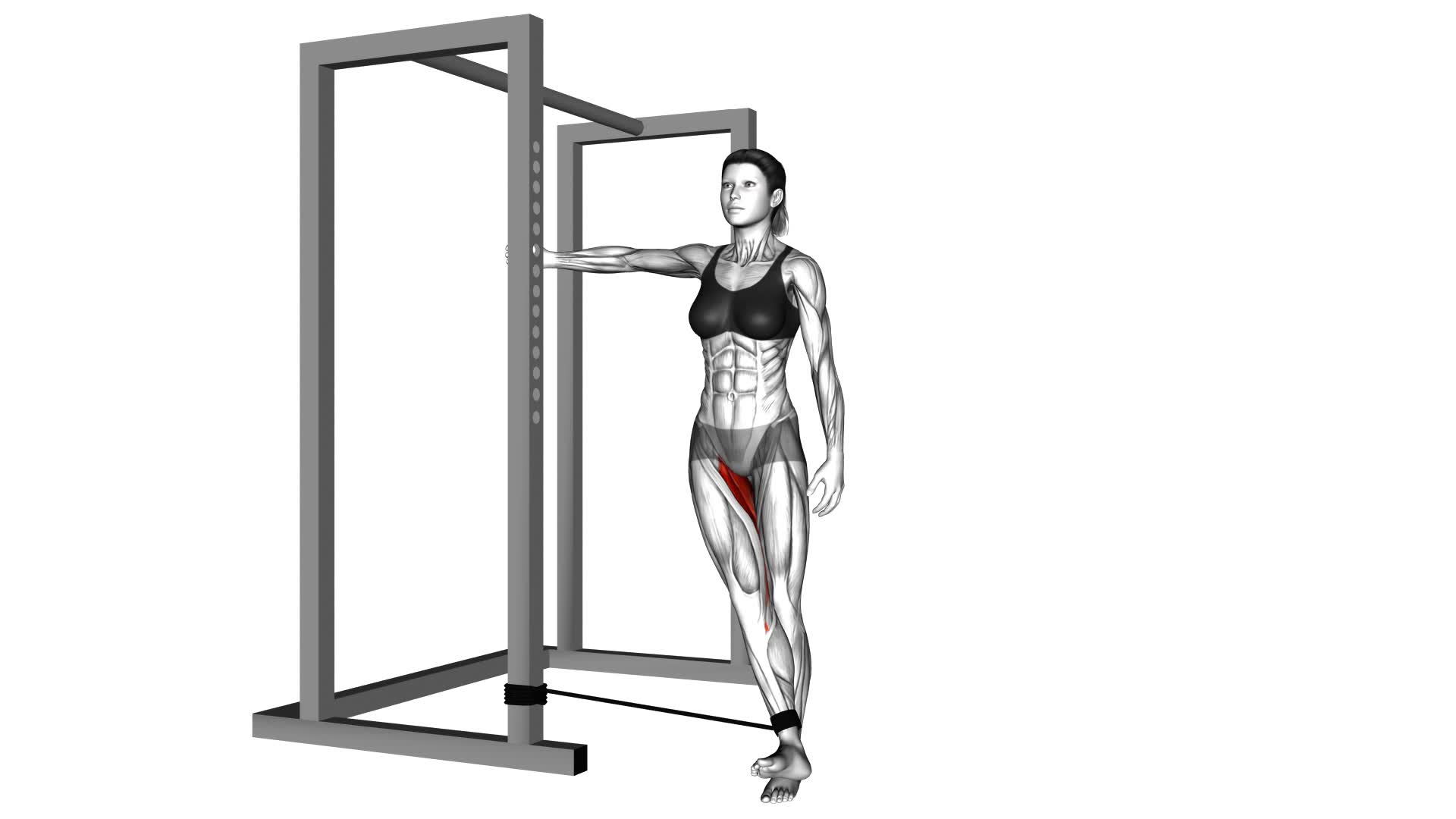 Band Hip Adduction (female) - Video Exercise Guide & Tips