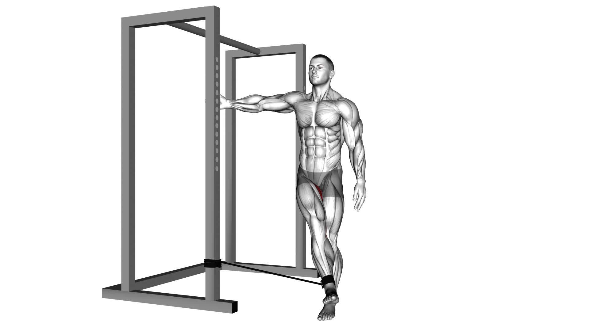 Band Hip Adduction (male) - Video Exercise Guide & Tips