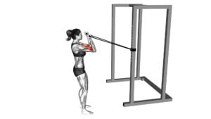 Band Horizontal Biceps Curl (female) - Video Exercise Guide & Tips