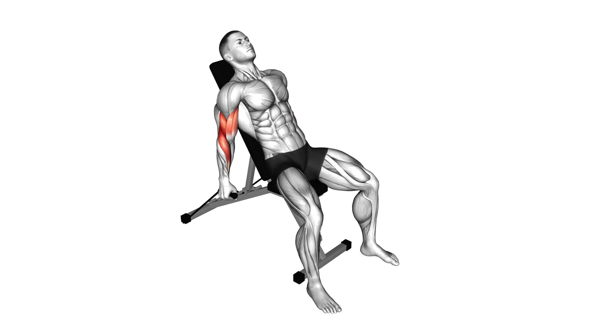 Band Incline Alternate Hammer Curl - Video Exercise Guide & Tips