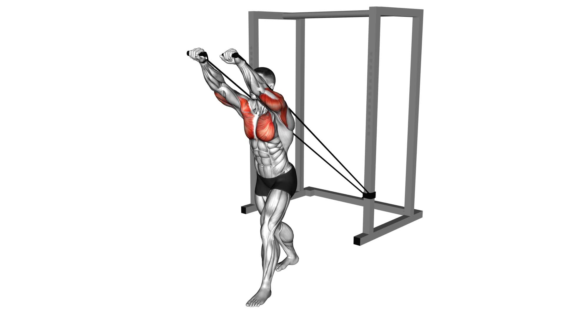 Band Incline Chest Press - Video Exercise Guide & Tips