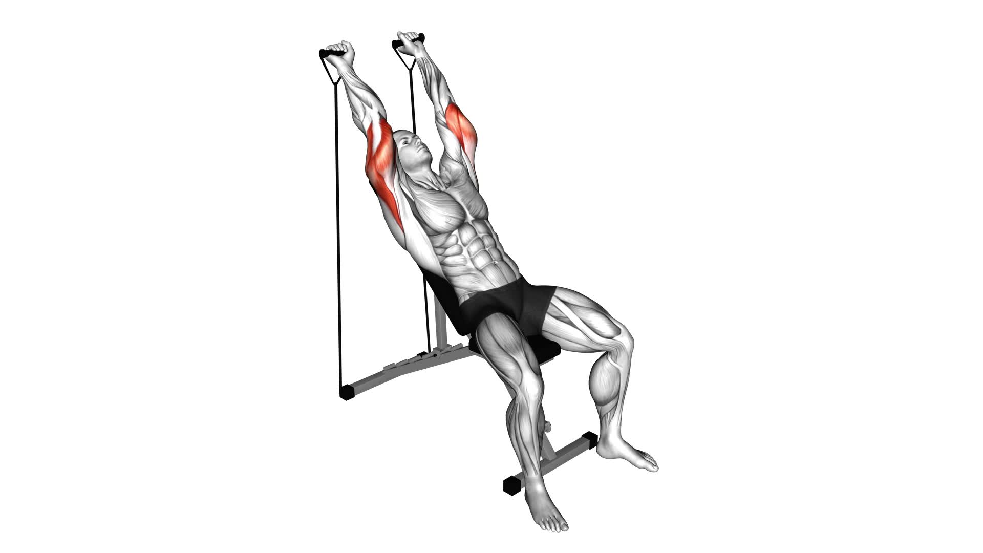 Band Incline Triceps Extension - Video Exercise Guide & Tips