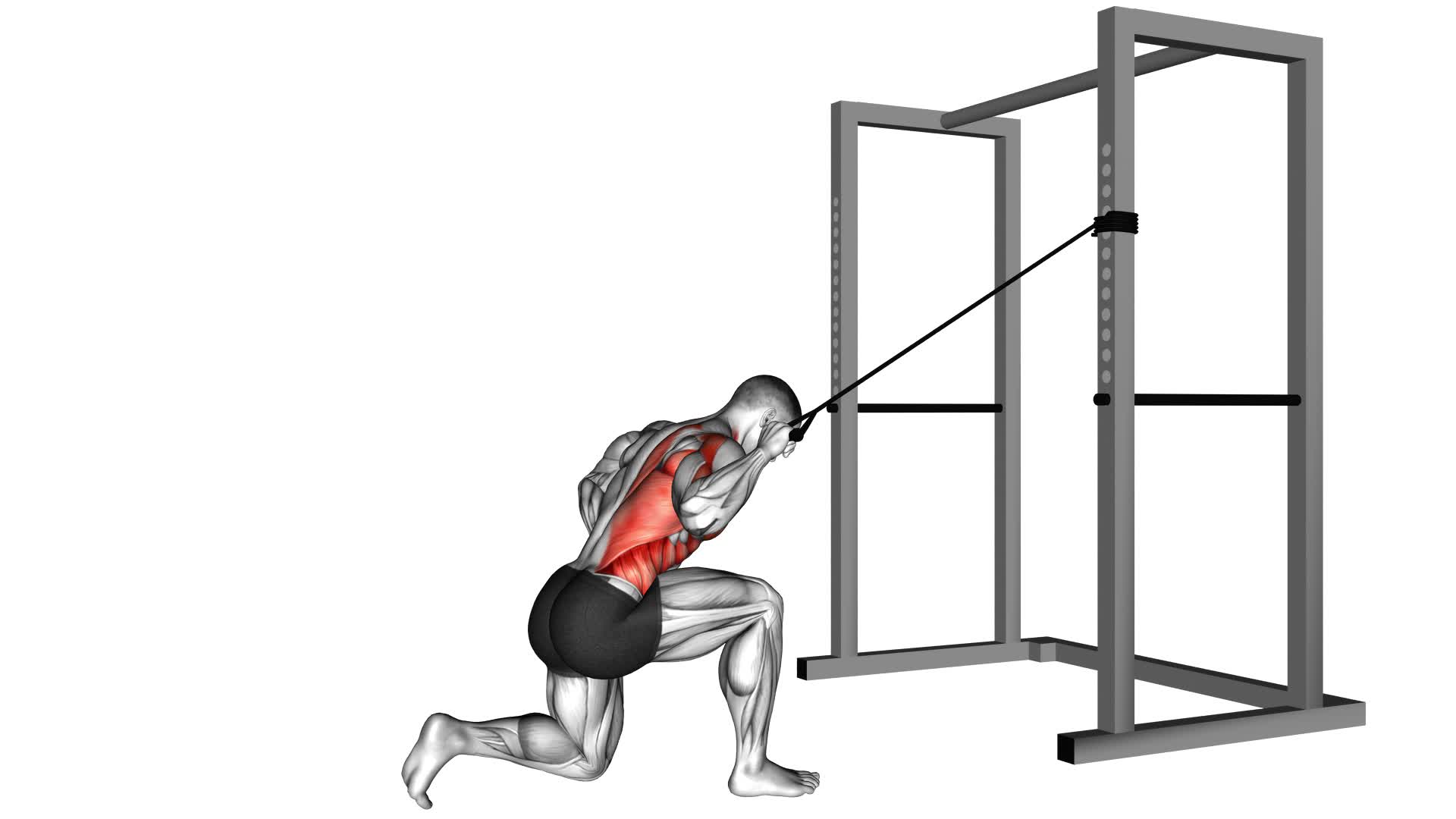 Band Kneeling One Arm Pulldown - Video Exercise Guide & Tips