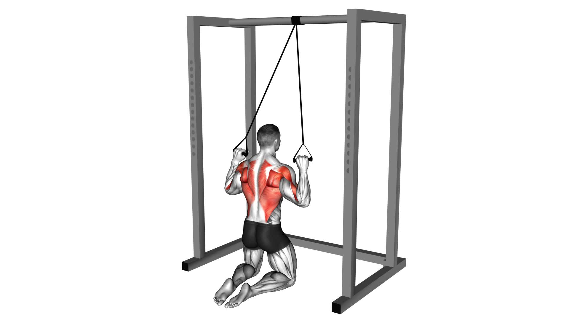 Band Knelling Lat Pulldown - Video Exercise Guide & Tips