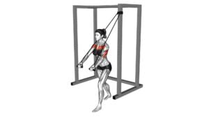 Band Low Chest Press (female) - Video Exercise Guide & Tips