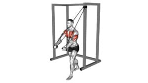 Band Low Chest Press (male) - Video Exercise Guide & Tips