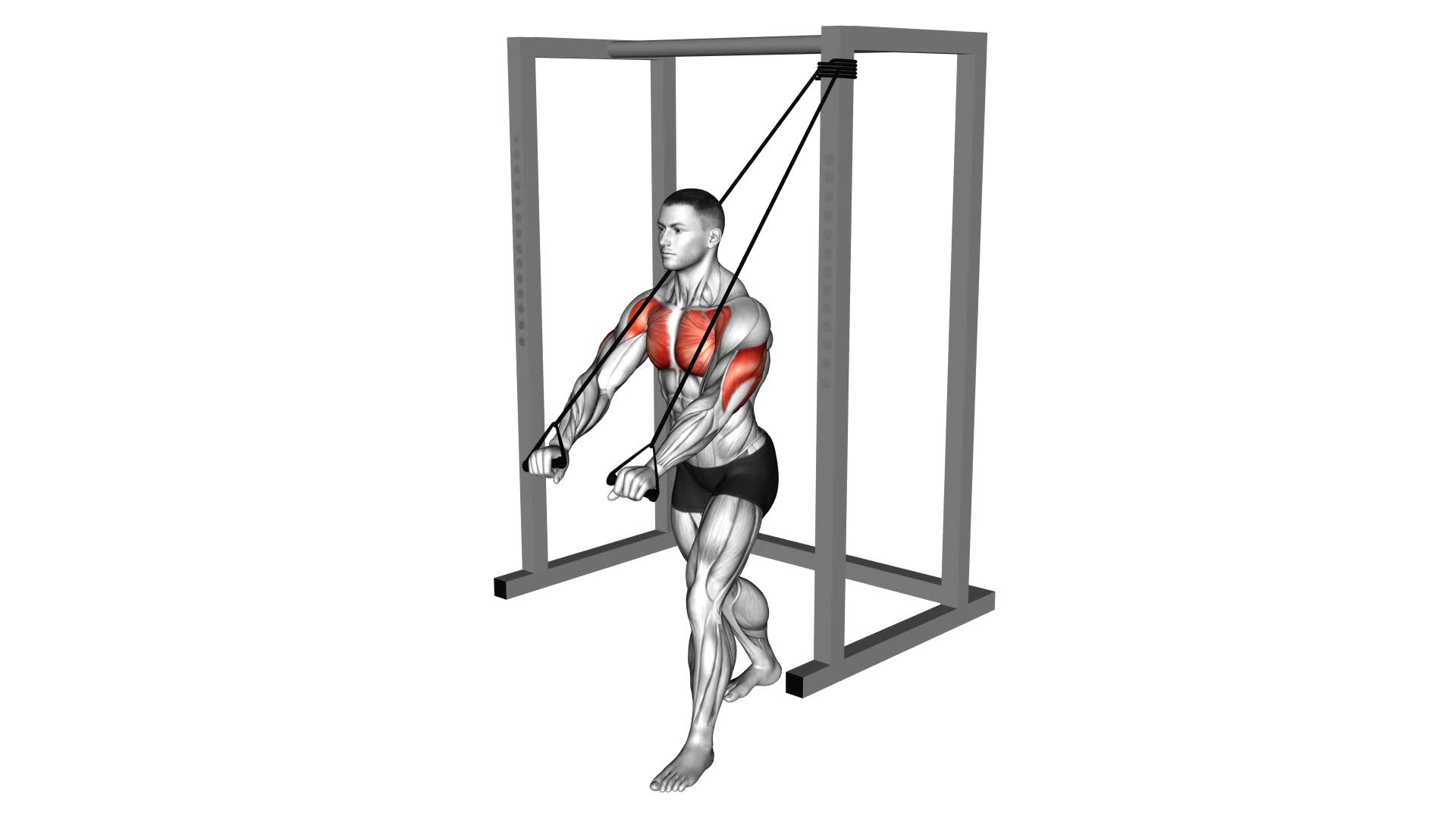 Band Low Chest Press (male) - Video Exercise Guide & Tips