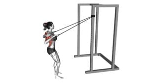 Band Narrow Grip High Row (VERSION 2) (female) - Video Exercise Guide & Tips