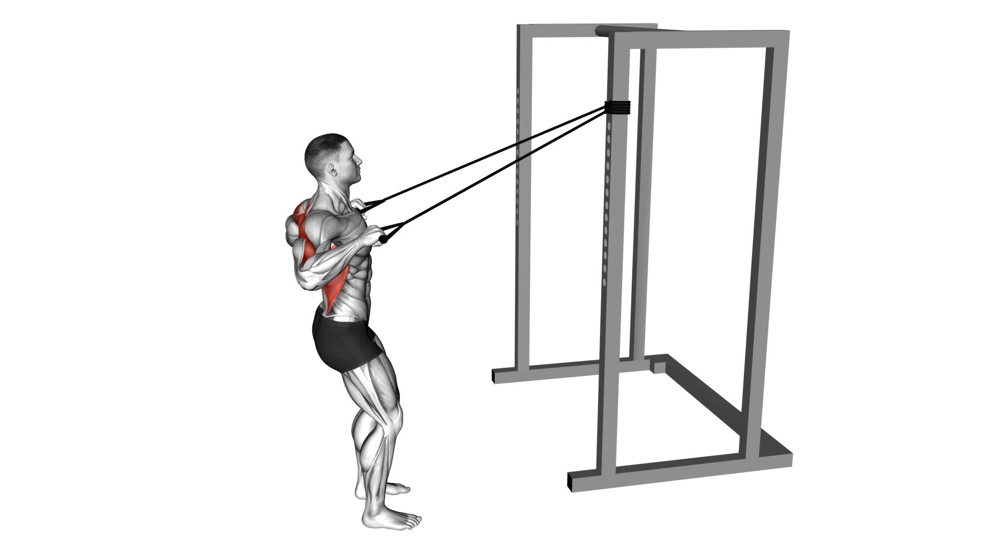Band Narrow Grip High Row (VERSION 2) - Video Exercise Guide & Tips